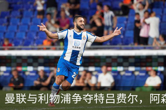 曼联与利物浦争夺特吕费尔，阿森纳厄德高即将续约